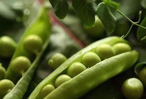 Erkek Takım Elbise Beden Kataloğu